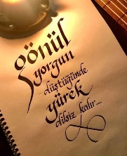 Next Post Image
